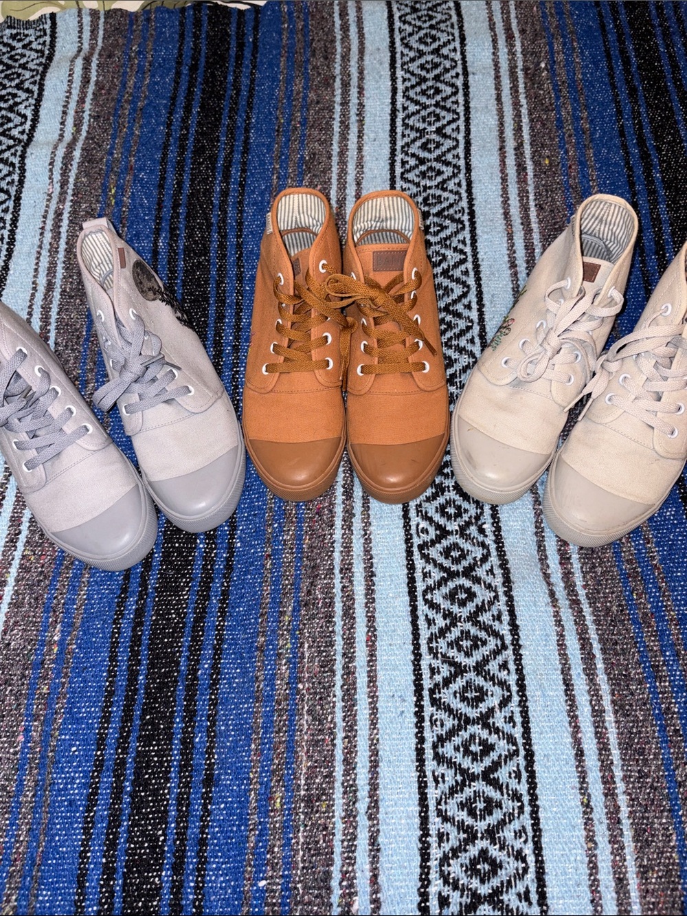 Bangs Hi Top Canvas Shoes - Bundle of 3 Pairs